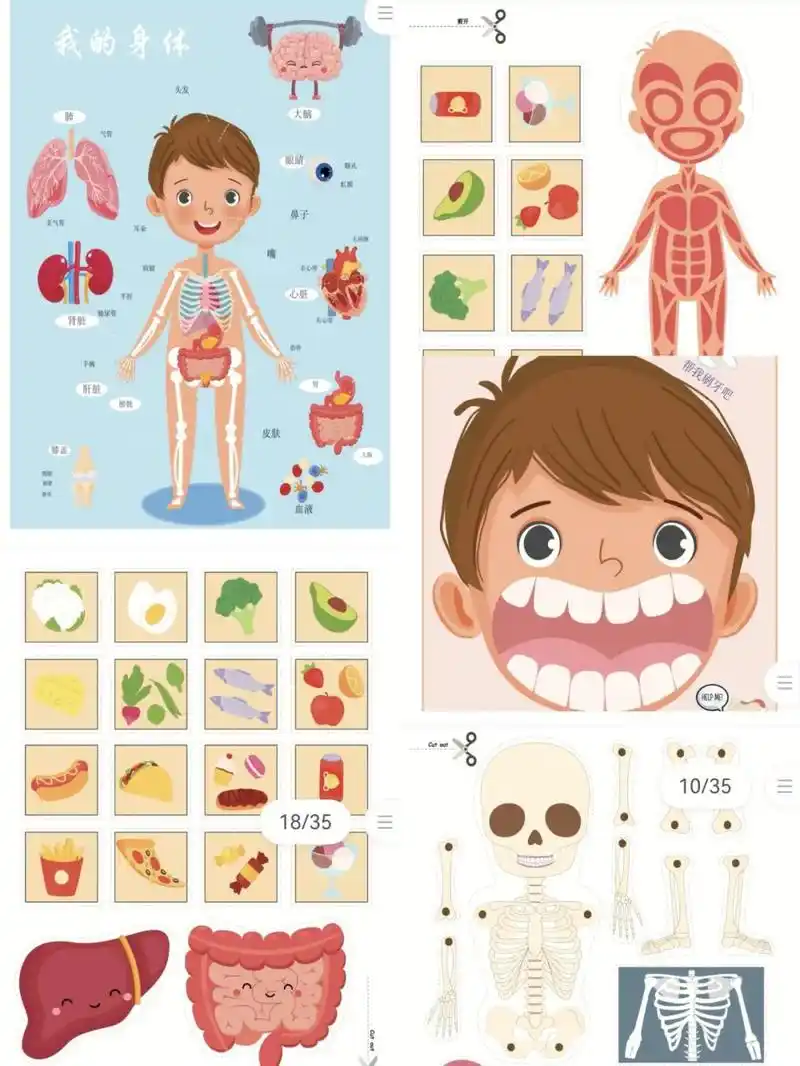 我的身体会说话家庭作业 - 抖音