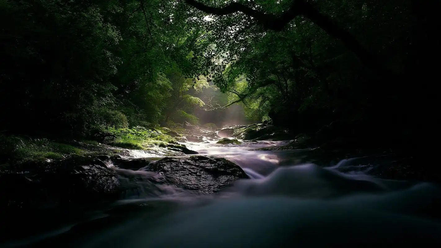 绿色清新山间溪流图片高清宽屏桌面壁纸
