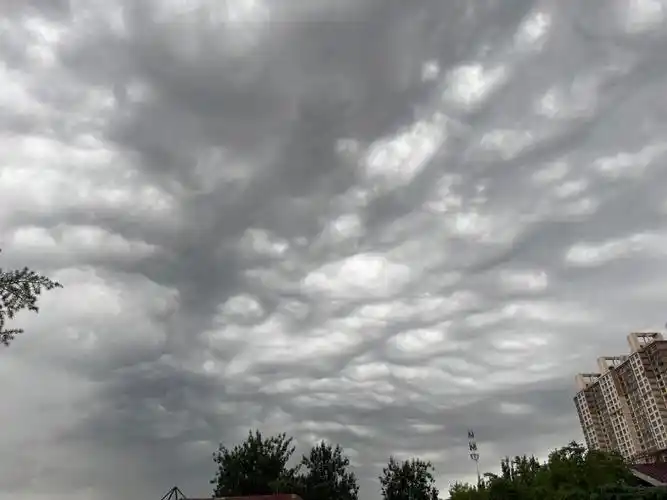 下雨的云人的脊椎