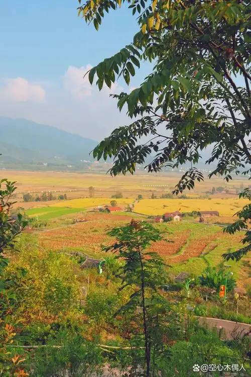 宜春周边游|萍乡莲花吉内得国家稻田公园