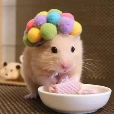 超萌超可爱的仓鼠头像图片_动物头像_头像屋