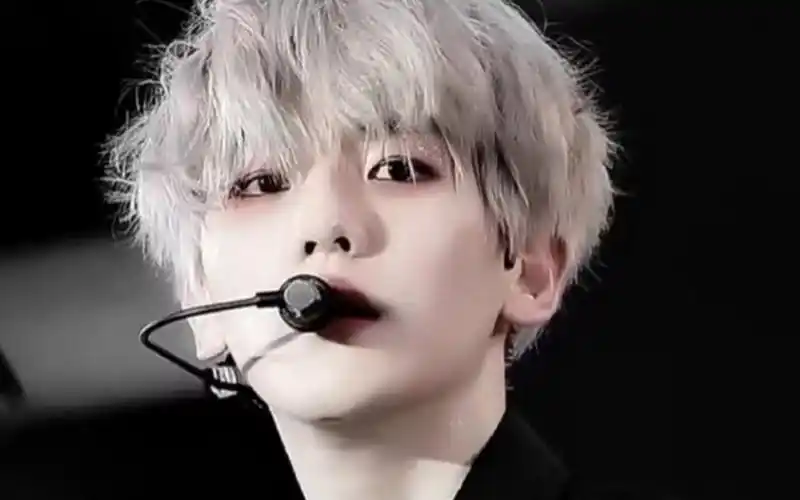 【边伯贤】恭迎边大佬回家05