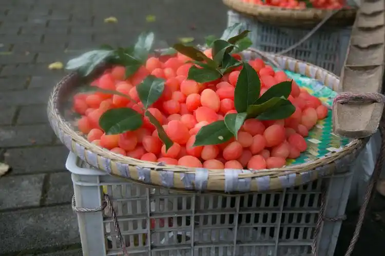 这是白公馆门口卖的红梅,鲜红鲜红的,让我联想到英雄的鲜血!