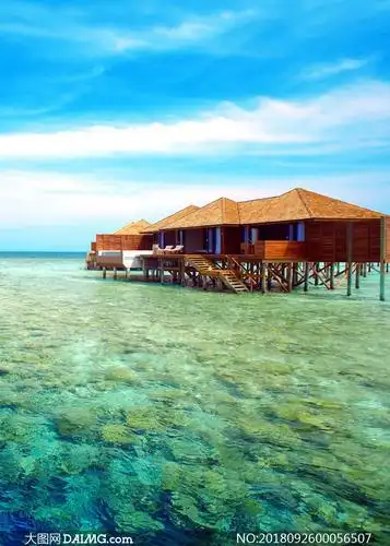 马尔代夫海边房屋摄影图片_大图网图片素材