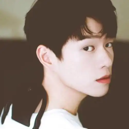 魏大勋@小欧尼尼-iiidol头像铺-话本小说网