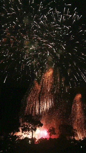 300_533竖版 竖屏gif 动态图 动图