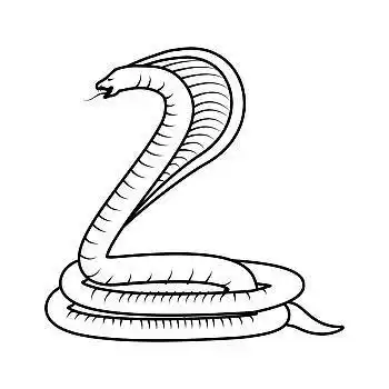 有毒,眼镜蛇,毒蛇,象征,矢量,插画,平面设计