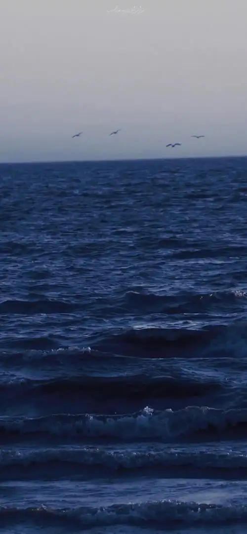 请问可以推荐一些高清关于大海的壁纸吗