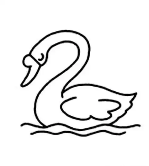 天鹅在水中的倒影的简笔画
