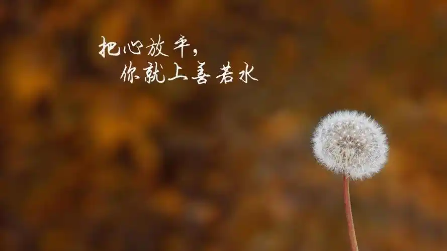 朋友圈正能量带字说说配图