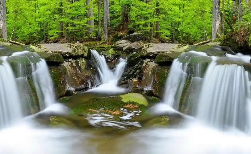 瀑布,森林,,大自然,照片
