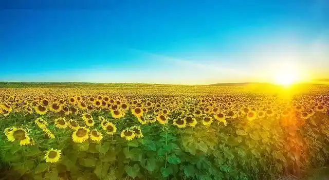 早安唯美励志句子,句句充满正能量,阳光那么好,何必自寻烦恼!