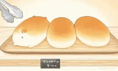 一口咬面包壁纸