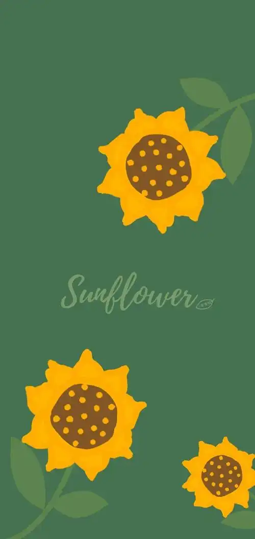 壁纸2021愿我们所求皆如意所行化坦途