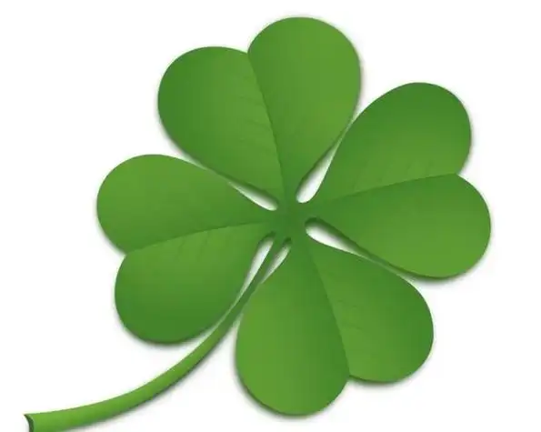 四叶草四叶草简笔画图片大全四叶草在西方是幸运的象征四叶草会被赋予