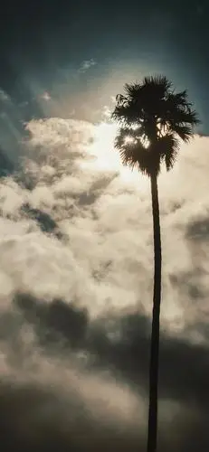 潮流头像壁纸潮图 2020年3月31日