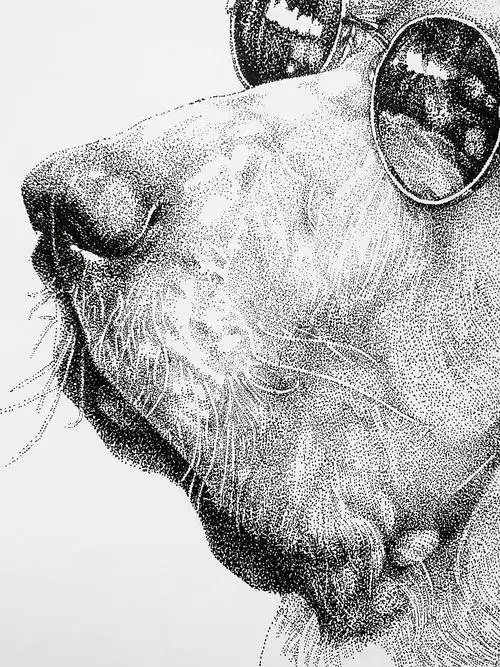 《动物—点绘系列》! - 原创作品 - 站酷(zcool)