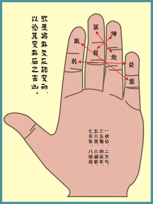 八卦解析掌诀图掐指神算秘诀