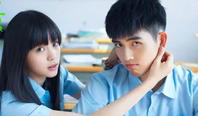 电视剧《秘果》改编自哪部小说?