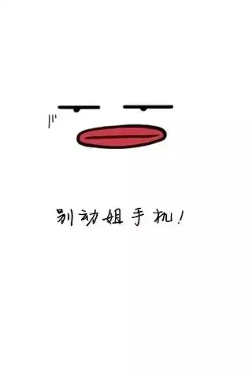 壁纸文字别碰我手机