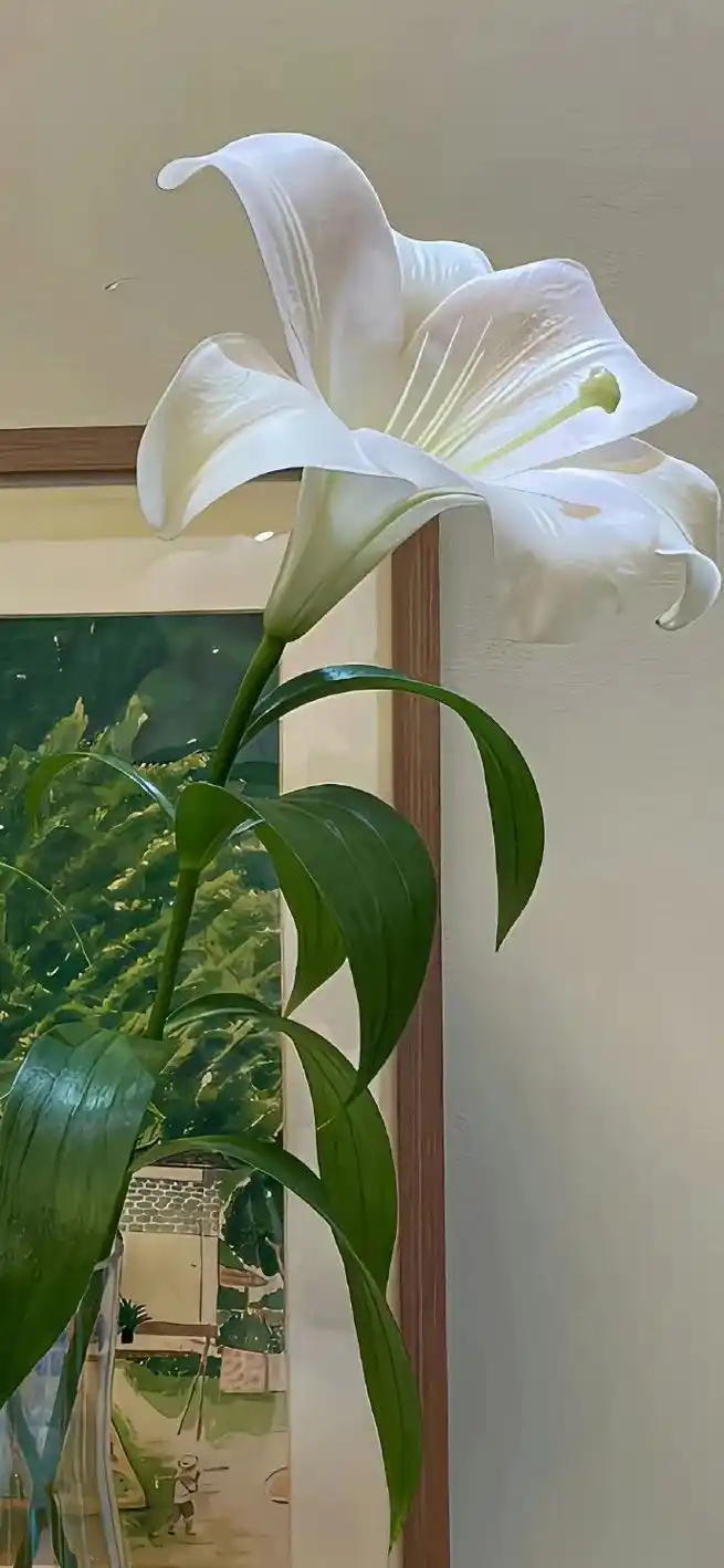 壁纸|小众高级感壁纸