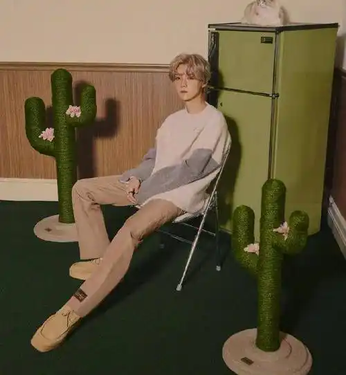 鹿晗帅气大片,居家慵懒风格,弥漫一丝浪漫气息_照片_魅力_色调