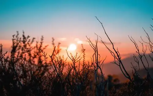 绝美日出风光图片电脑壁纸-风景壁纸-壁纸下载-美桌网