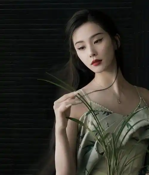 女星刘诗诗时尚造型:典雅高贵,魅力无限