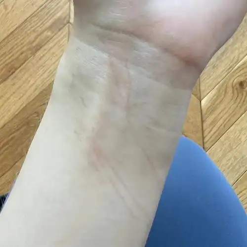 养猫日常咬人猫家暴罪证