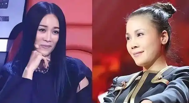 田震:不后悔和摔话筒:我和那英不熟,23年后,二人现状截然不同