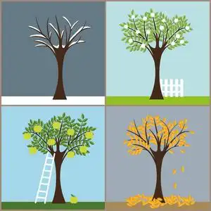 春夏秋冬四季图片-春夏秋冬四季素材-春夏秋冬四季插画-摄图新视界