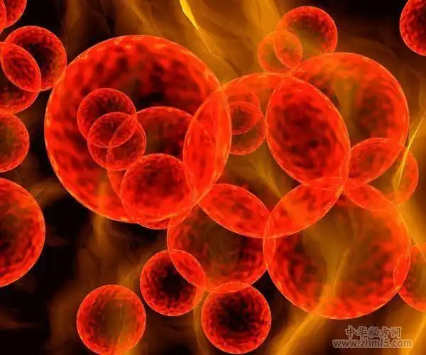 毒血症怎么办-特效中药偏方治疗毒血症 - 综合秘方大全 - 中华秘方网