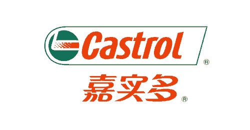 嘉实多荣获2010消费者最喜爱润滑油品牌-商标超市网