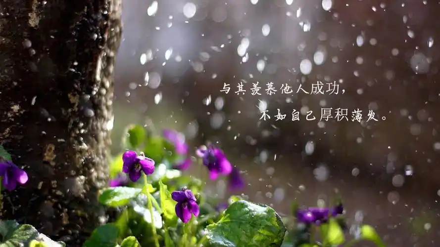 致自己唯美的励志说说配图