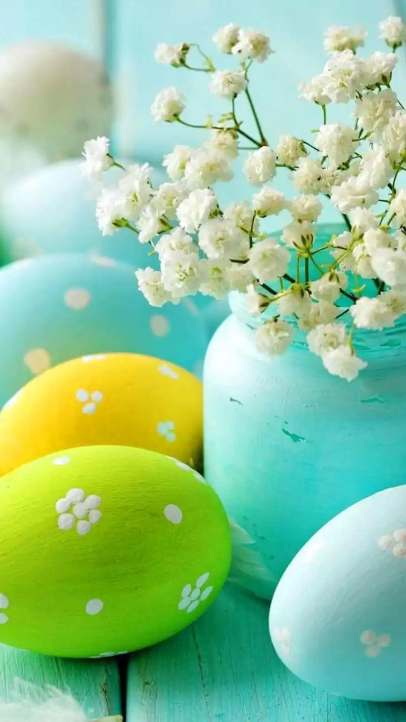 小清新静物摄影高清手机壁纸