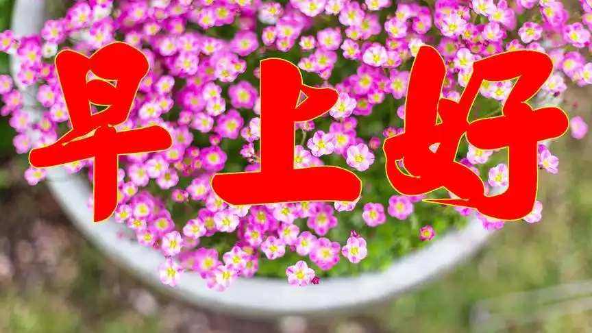 想你了,特意为你点了一首醉人的歌,祝幸福快乐