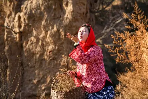 圪梁梁上的妹子跟我走