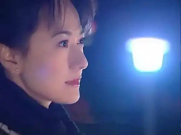 26岁红遍全国金城武前女友两次嫁入豪门53岁仍貌美如花