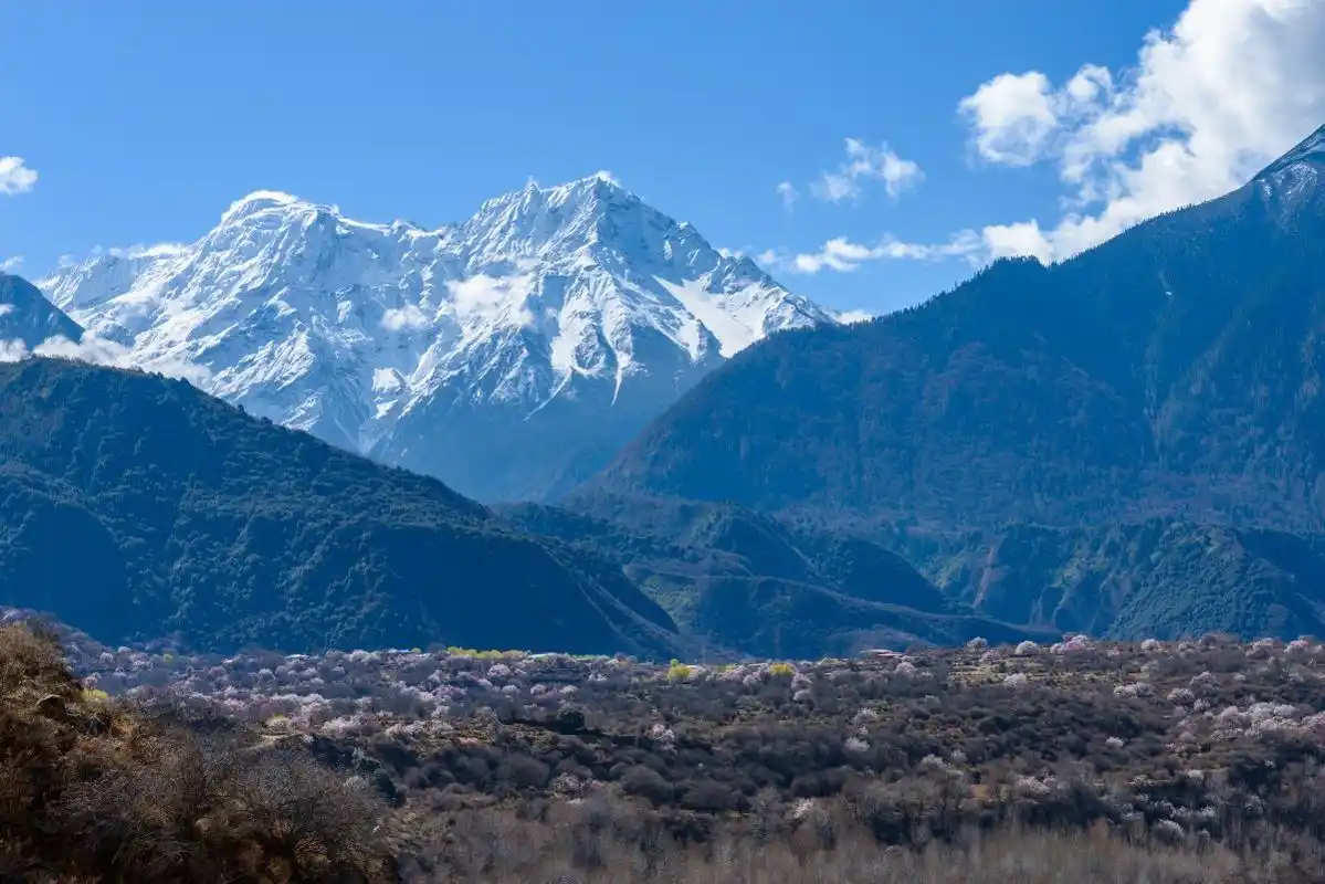 西藏林芝巍峨雪山风景图片