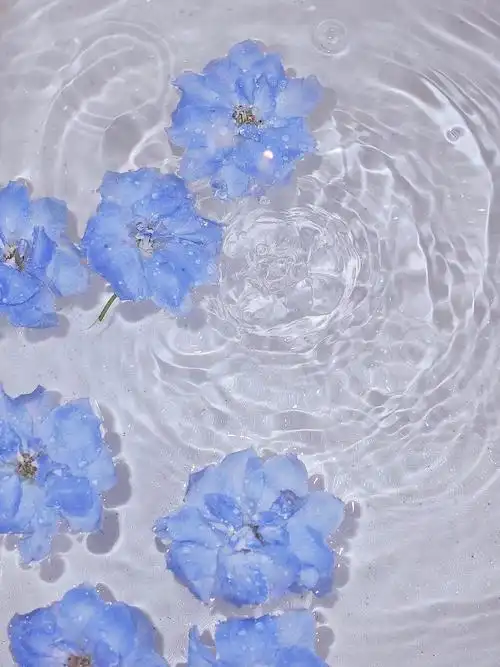 蓝色系背景 cr.十月无荔枝