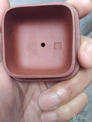 施小马款紫砂壶