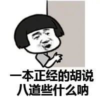 一本正经的胡说八道些什么呐
