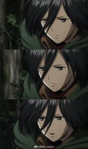 收集三笠好看的图