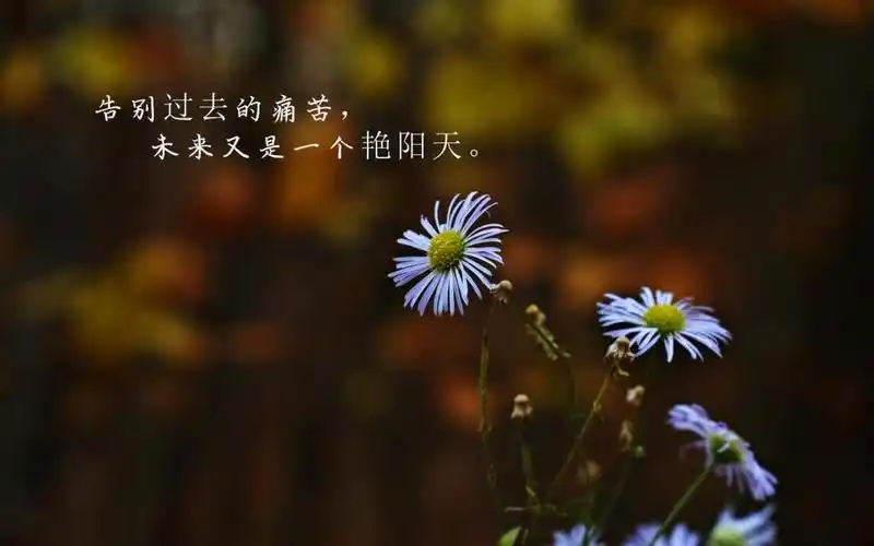 再见过去,你好未来