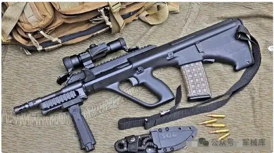 全球最受欢迎10款步枪:性能,参数与优缺点分析,你喜欢的第几名|武器