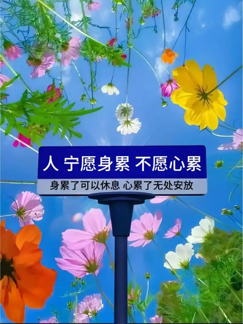 人宁愿身累不愿心累身累了可以休息心累了无处安放