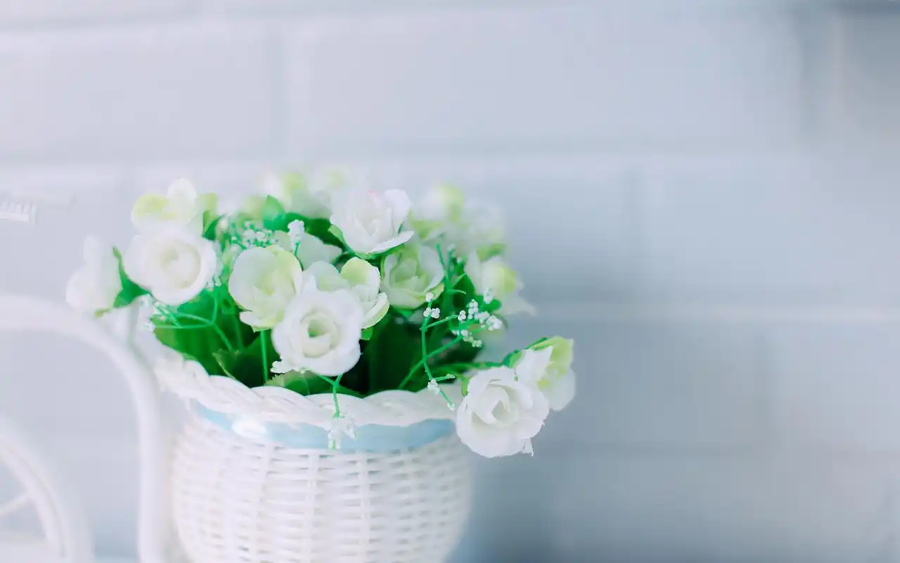 小清新简约静物唯美意境图片桌面壁纸高清大图预览1920x1200_风格壁纸