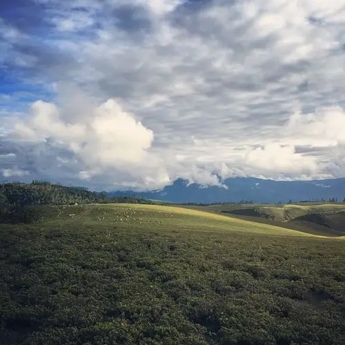 高原草甸丽江老君山