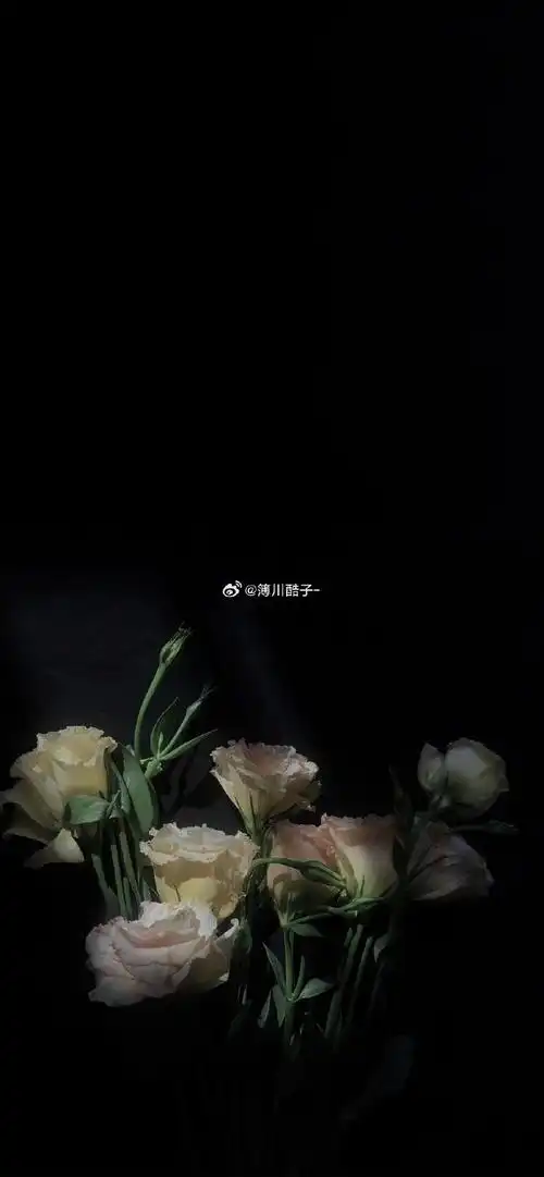 5113】新黑色氛围感壁纸#朋友圈背景图##ins手机壁纸简约可爱全屏无