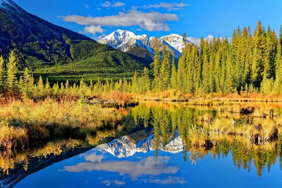 抖音图文来了 #手机壁纸#情感 我生来就讨好人,自己过的很 - 抖趑